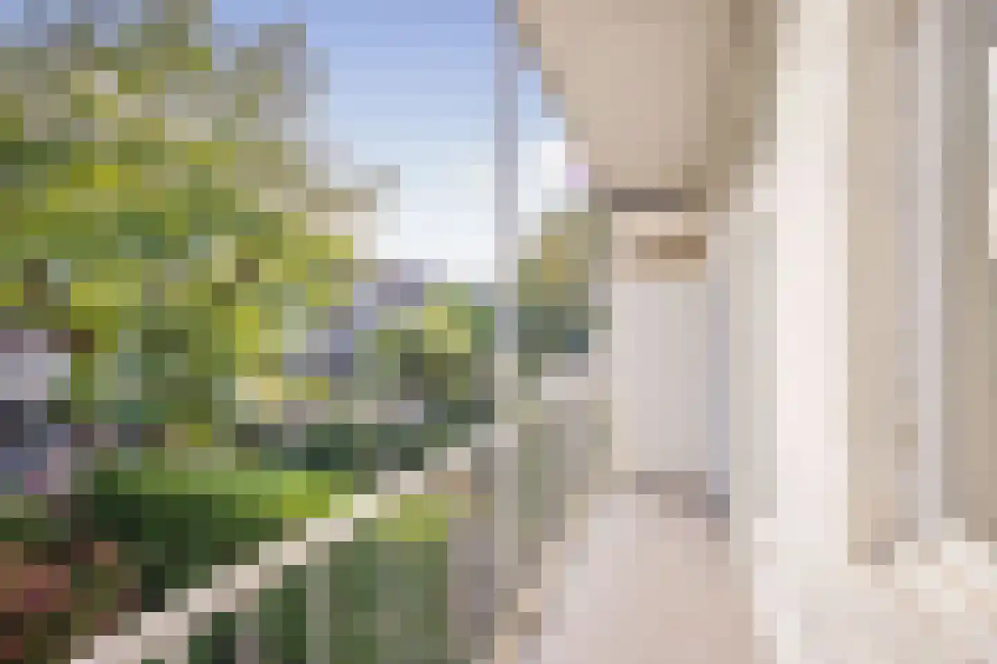 Zoomstraat 25 1 Amsterdam thumbnail 7