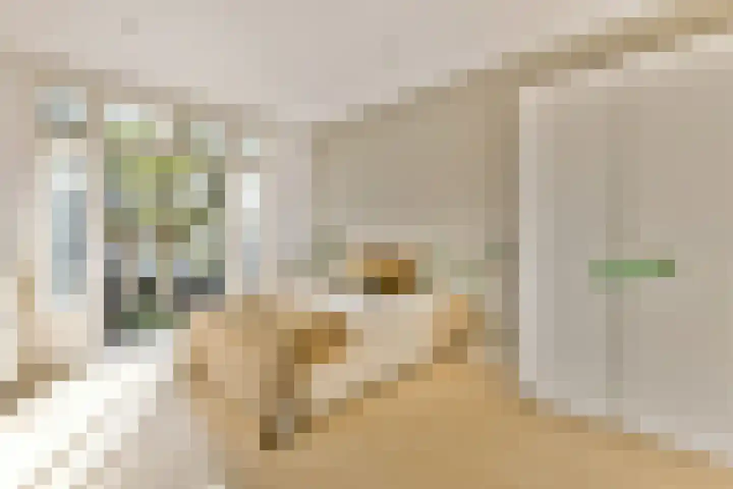 Zoomstraat 25 1 Amsterdam thumbnail 9