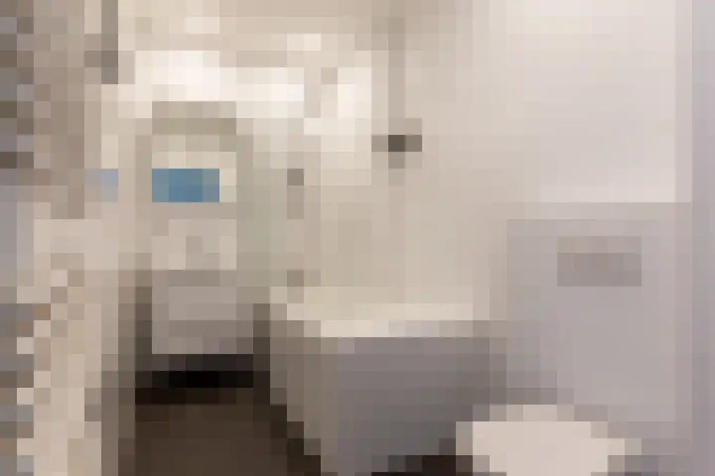 Zoomstraat 25 2 Amsterdam thumbnail 16