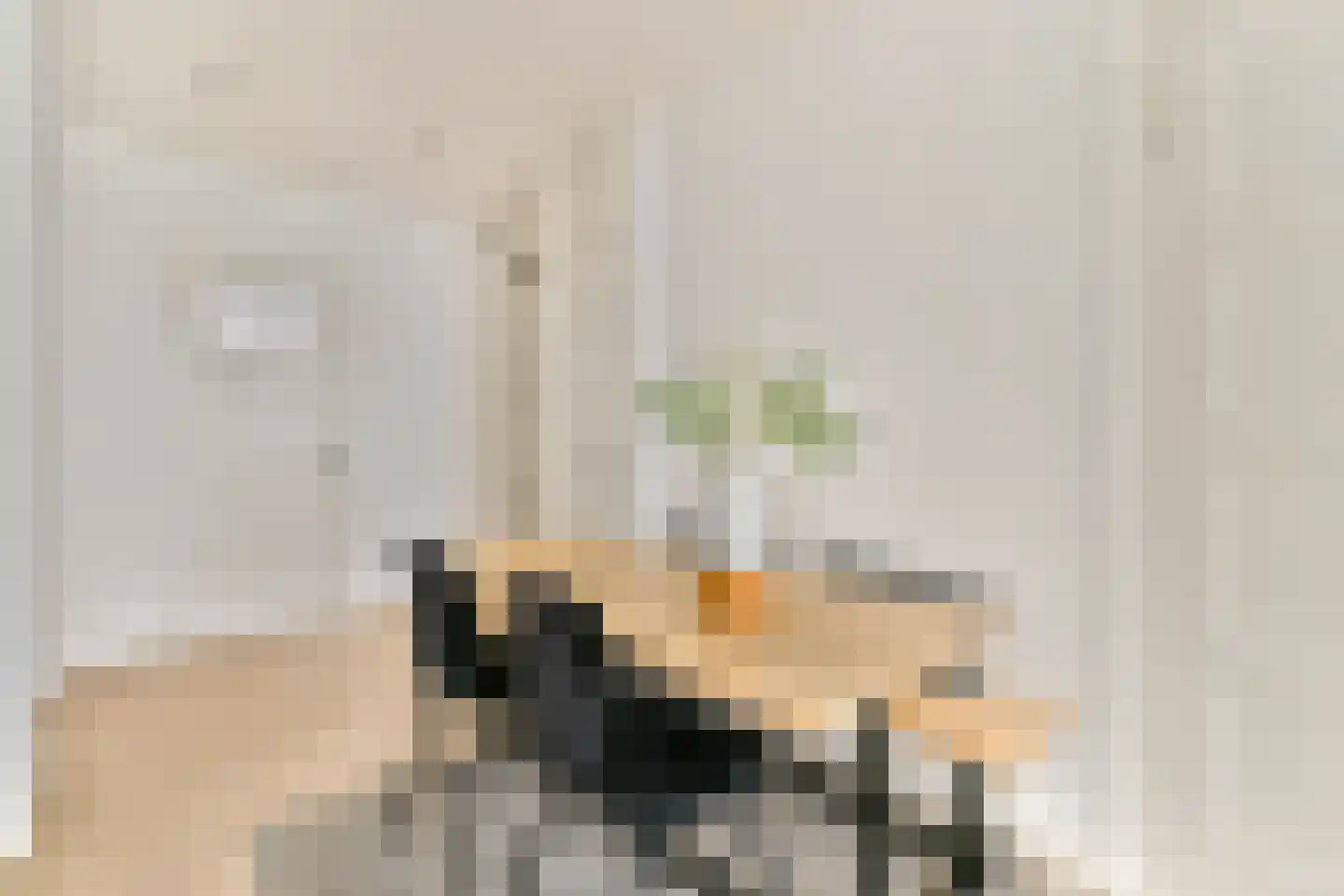 Zoomstraat 25 2 Amsterdam thumbnail 5
