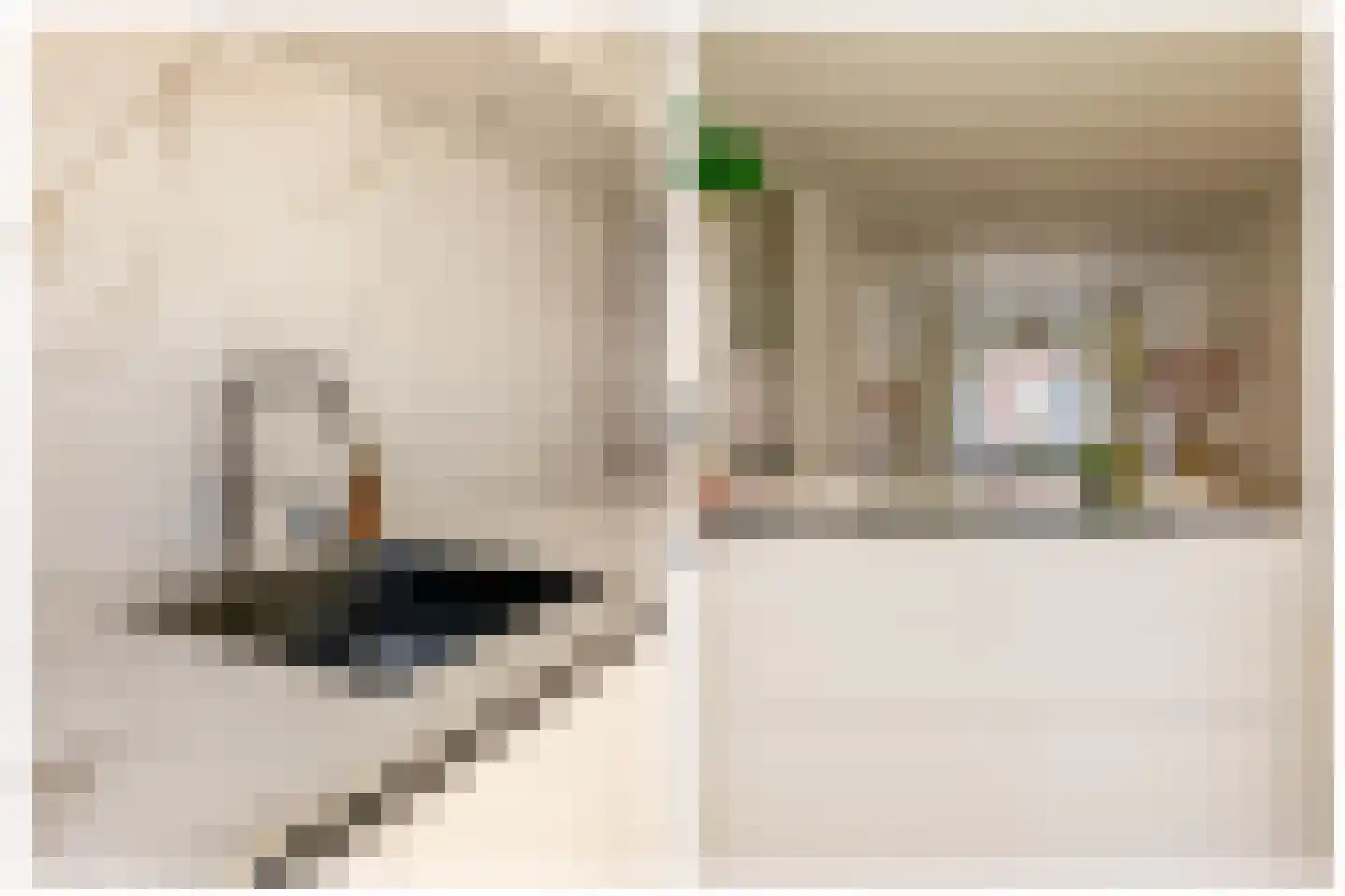 Zoomstraat 3 BS Utrecht thumbnail 13