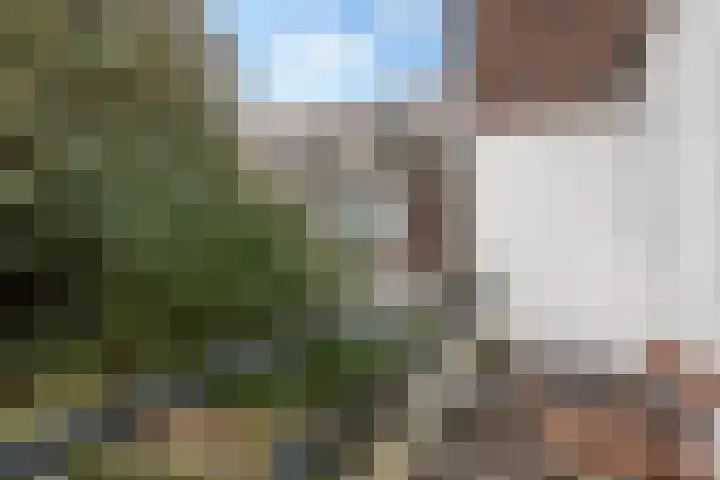Zoomstraat 3 BS Utrecht thumbnail 18