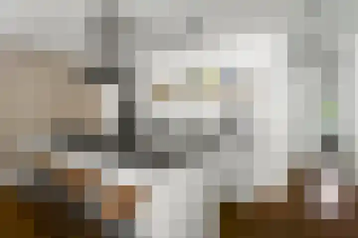 Zoomstraat 37 2 Amsterdam thumbnail 11