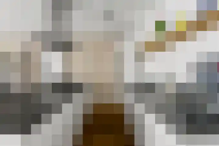 Zoomstraat 37 2 Amsterdam thumbnail 13