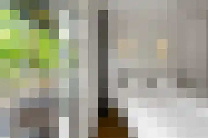 Zoomstraat 37 2 Amsterdam thumbnail 20