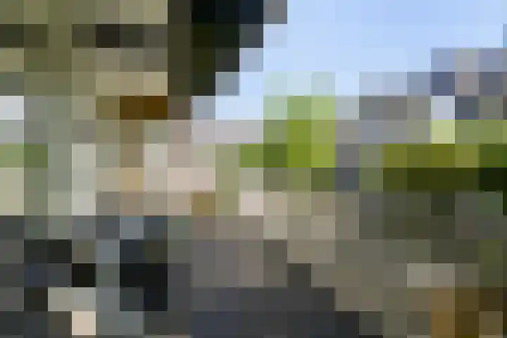 Zoomstraat 37 2 Amsterdam thumbnail 21