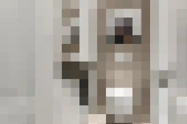Zoomstraat 37 2 Amsterdam thumbnail 26