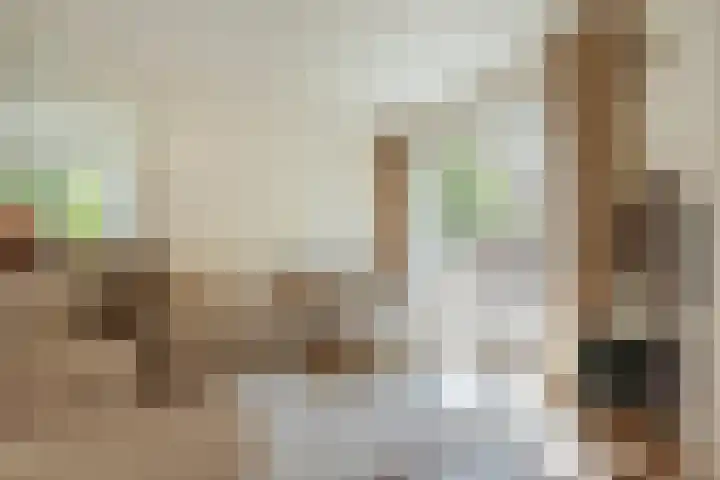 Zoomstraat 45 1 Amsterdam thumbnail 10