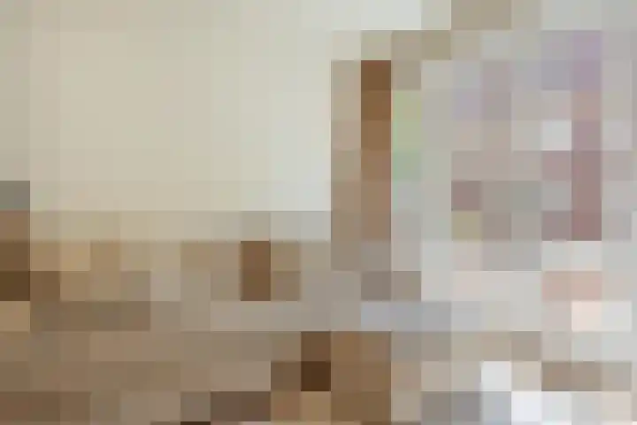 Zoomstraat 45 1 Amsterdam thumbnail 12