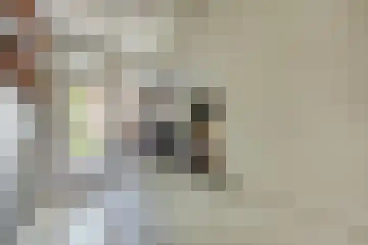 Zoomstraat 45 1 Amsterdam thumbnail 18
