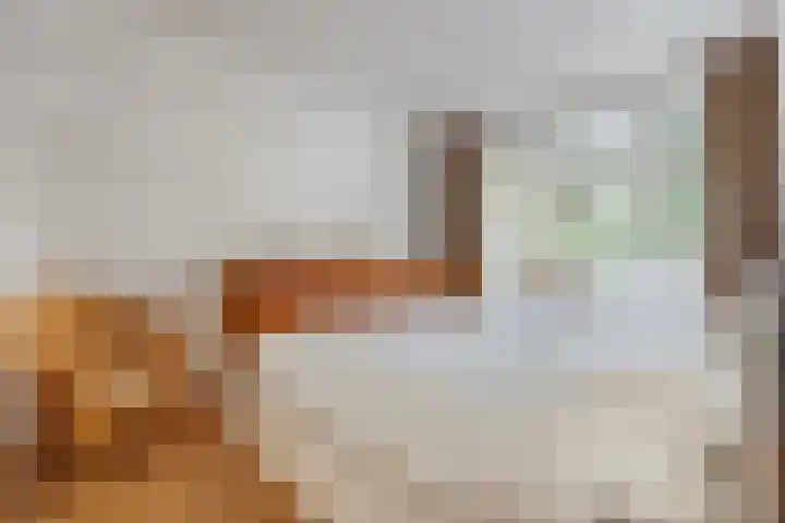 Zoomstraat 45 1 Amsterdam thumbnail 20
