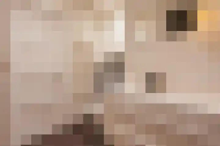 Zoomstraat 45 1 Amsterdam thumbnail 23