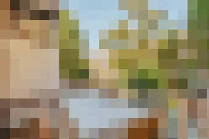 Zoomstraat 45 1 Amsterdam thumbnail 29
