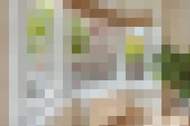 Zoomstraat 45 1 Amsterdam thumbnail 8