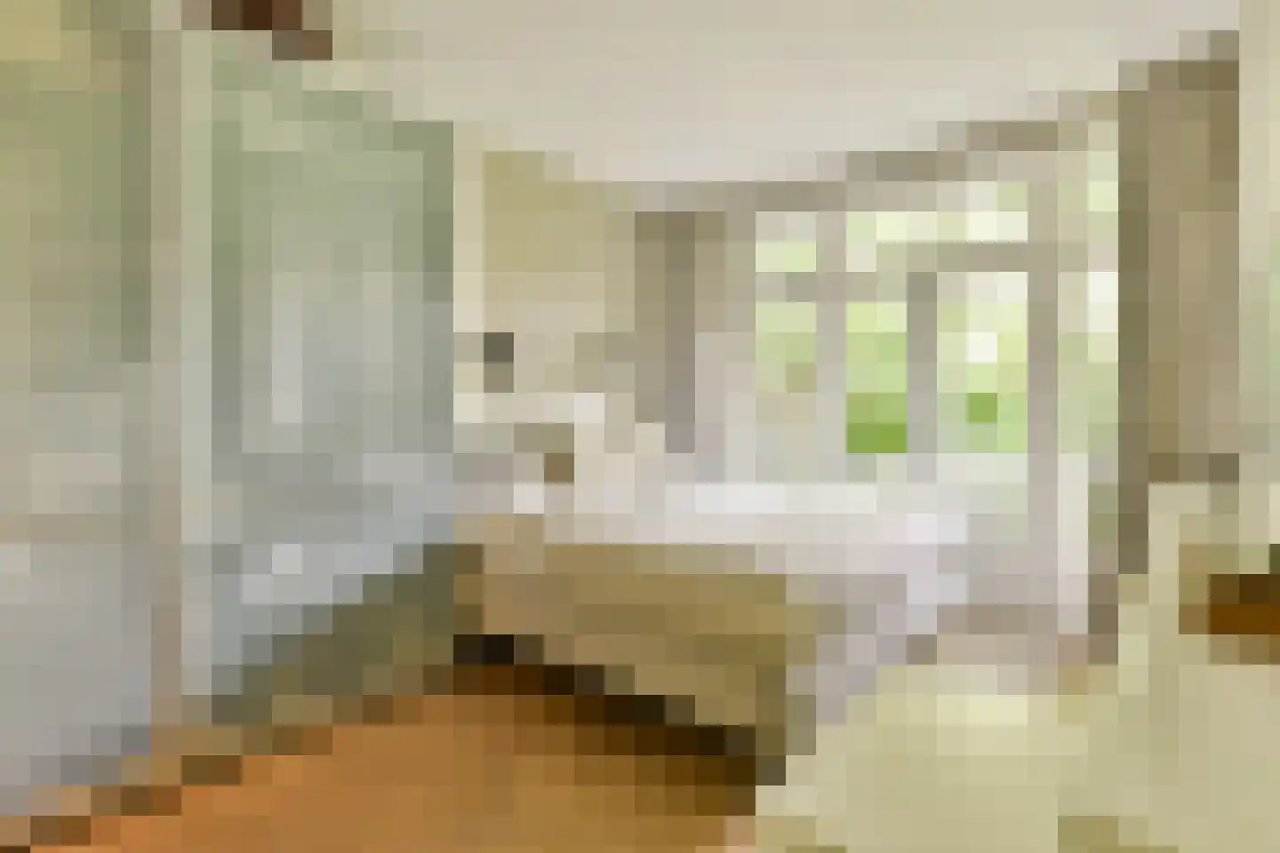 Zoomstraat 49 1 Amsterdam thumbnail 11