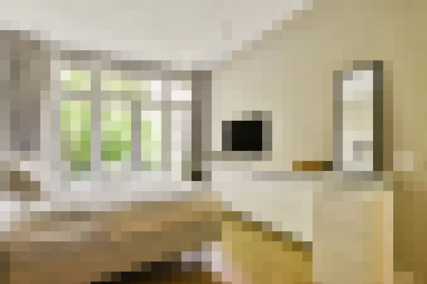 Zoomstraat 49 1 Amsterdam thumbnail 12