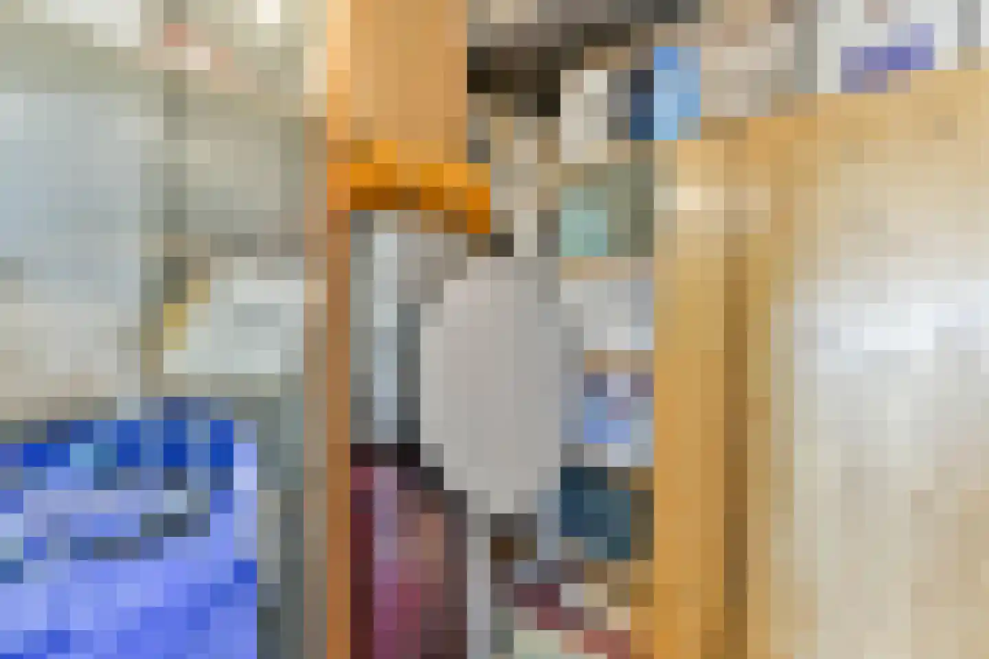 Zoomstraat 49 1 Amsterdam thumbnail 22