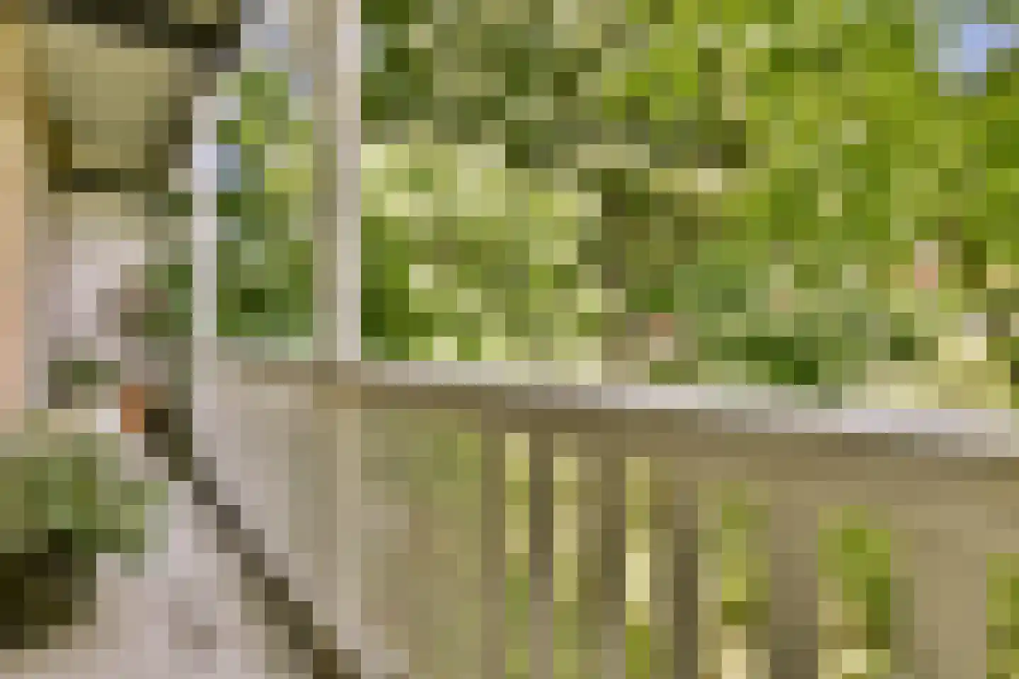Zoomstraat 49 1 Amsterdam thumbnail 5