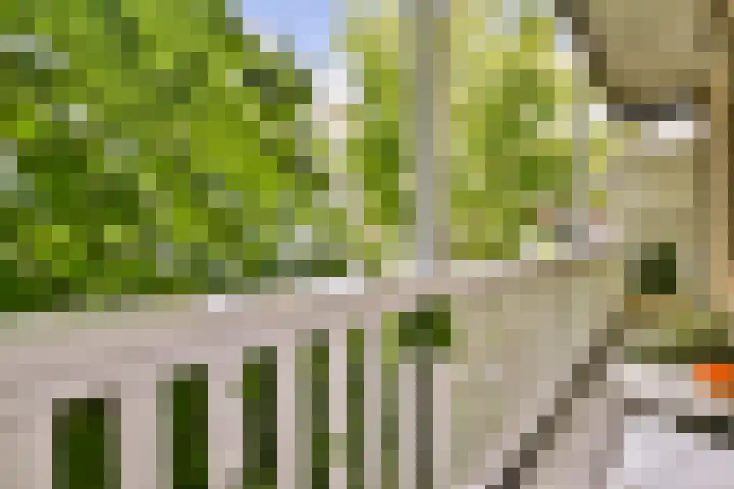 Zoomstraat 49 1 Amsterdam thumbnail 6