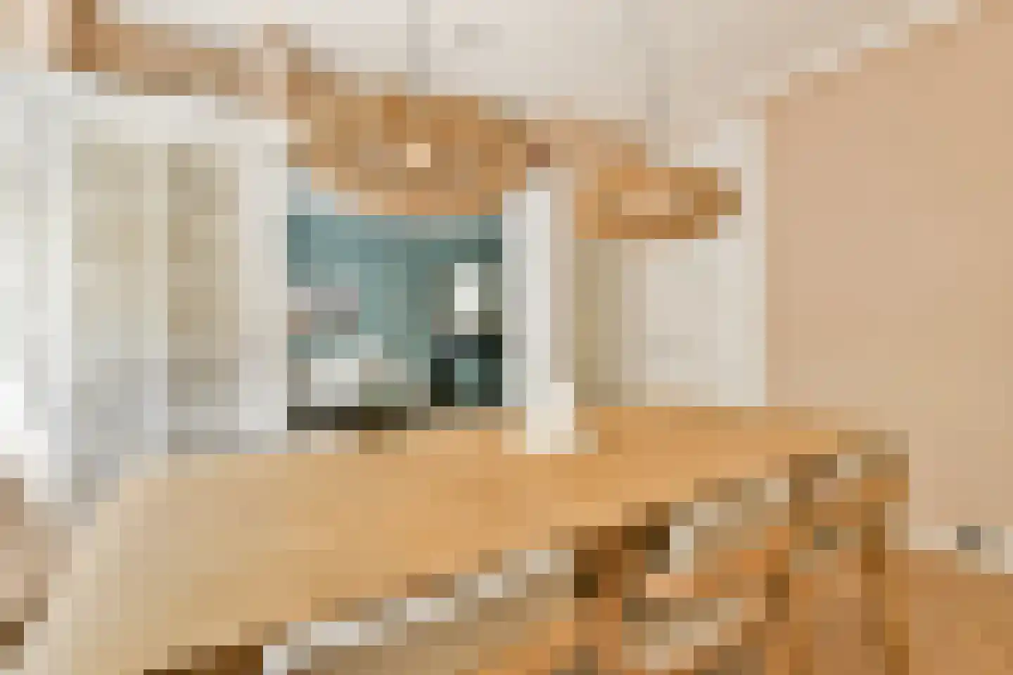 Zoomstraat 49 1 Amsterdam thumbnail 8