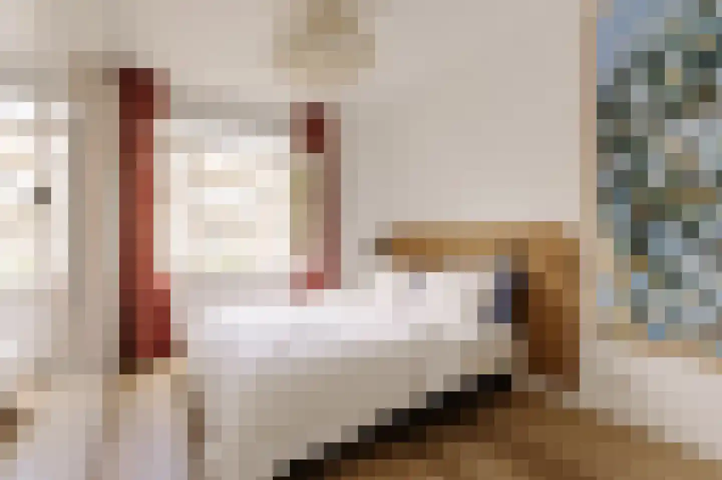 Zoomstraat 51 1 Amsterdam thumbnail 11