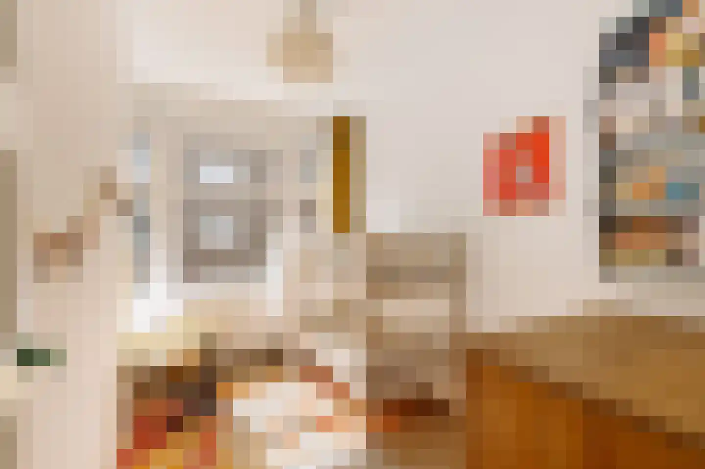 Zoomstraat 51 1 Amsterdam thumbnail 13