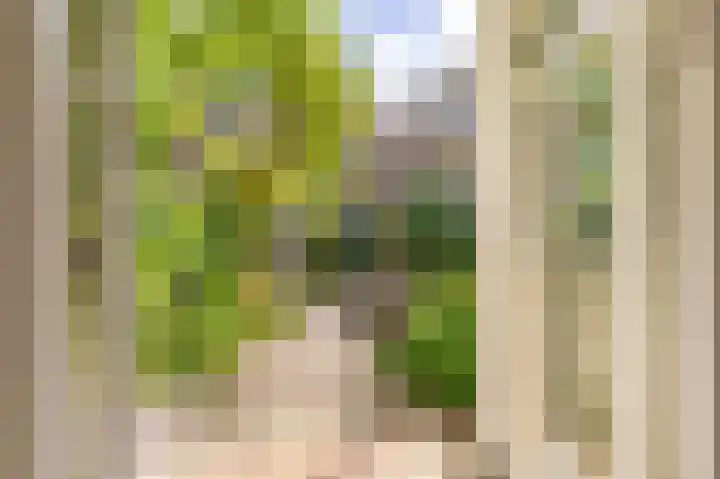 Zoomstraat 51 1 Amsterdam thumbnail 19