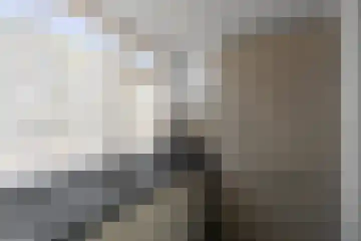 Zoomstraat 8 Den Helder thumbnail 13