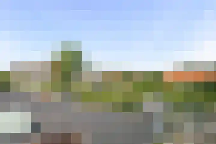 Zoomstraat 8 Den Helder thumbnail 19