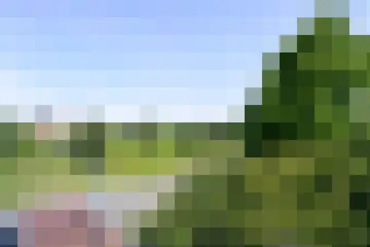 Zoomstraat 8 Den Helder thumbnail 25