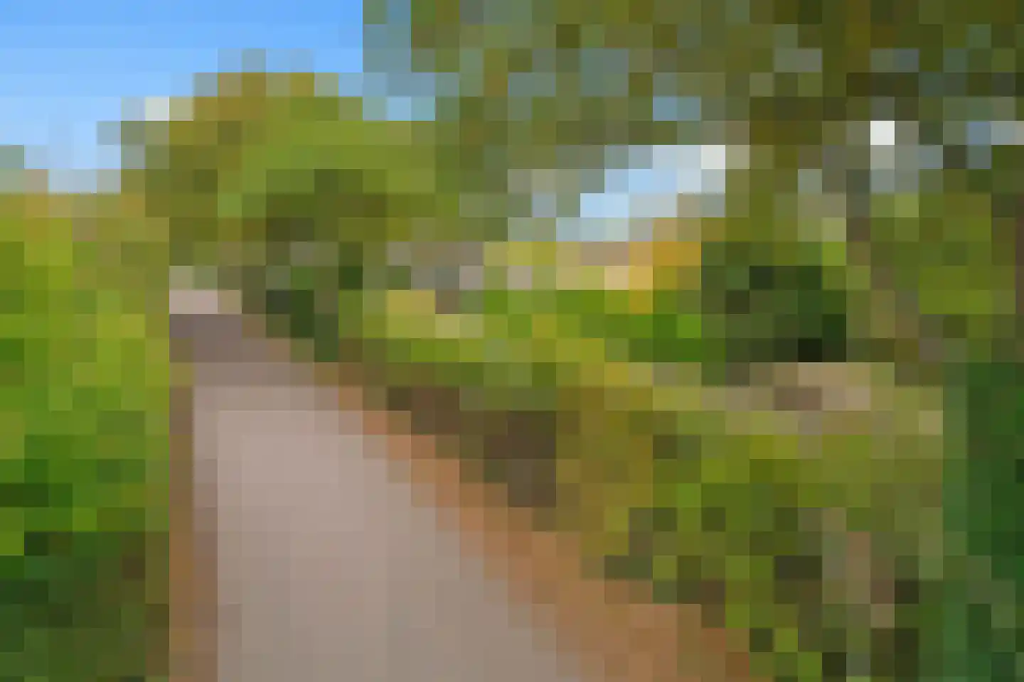 Zoomvlietweg 9 Heerle thumbnail 27