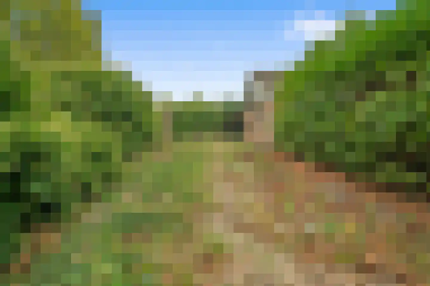 Zoomvlietweg 9 Heerle thumbnail 4