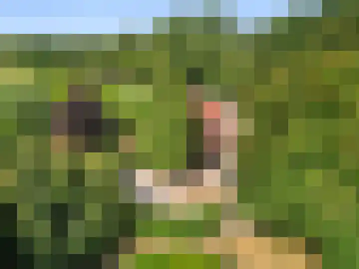 Zoomweg 16 Wageningen thumbnail 31