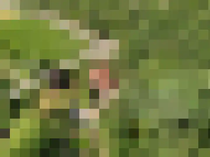 Zoomweg 16 Wageningen thumbnail 32