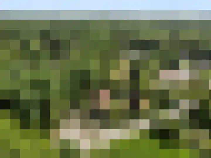 Zoomweg 16 Wageningen thumbnail 38