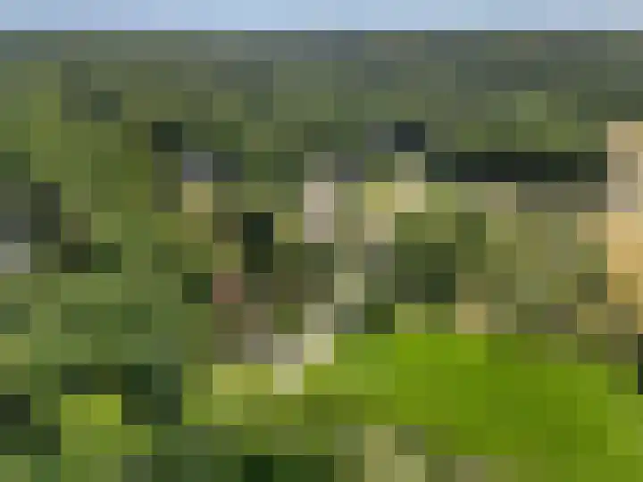 Zoomweg 16 Wageningen thumbnail 39