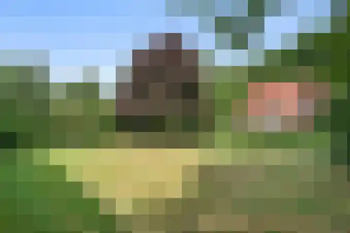 Zoomweg 16 Wageningen thumbnail 4