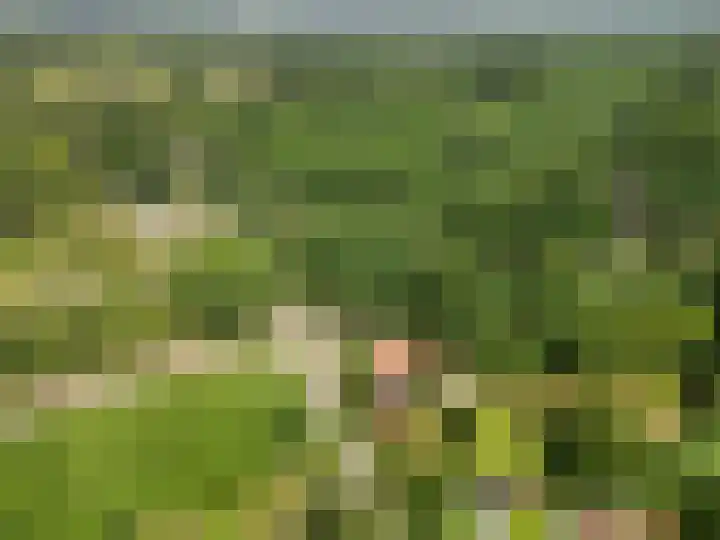 Zoomweg 16 Wageningen thumbnail 41
