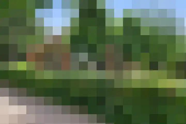 Zoomweg 16 Wageningen thumbnail 7