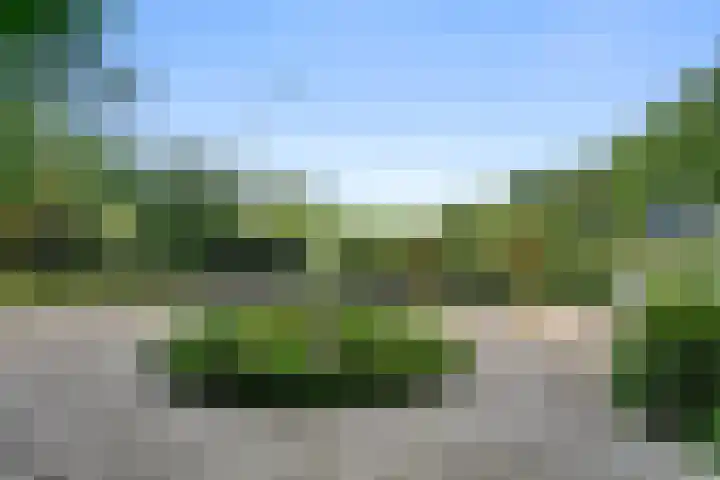 Zoomweg 16 Wageningen thumbnail 8