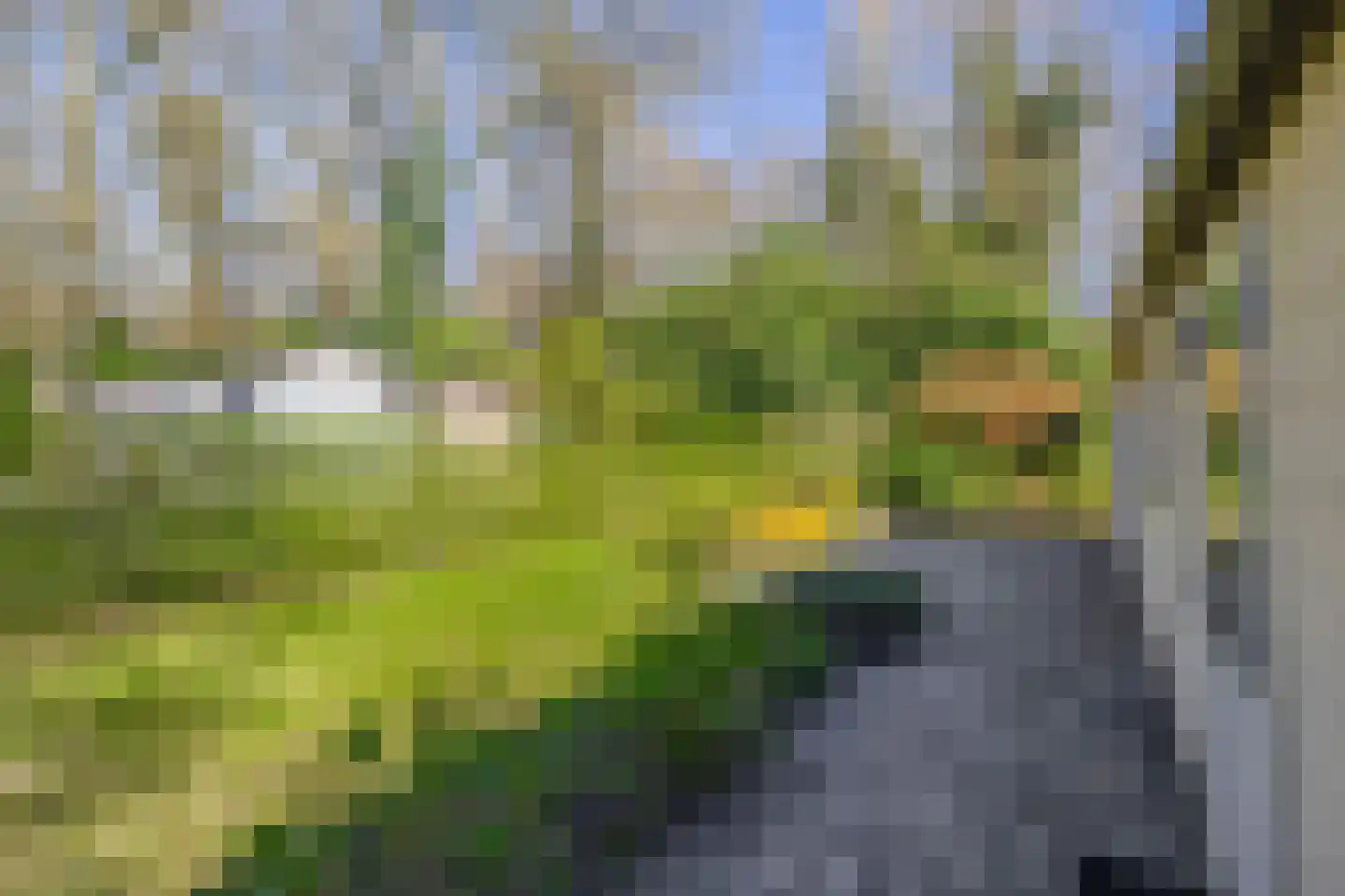 Zoomweg 7 A 041 Wageningen thumbnail 5