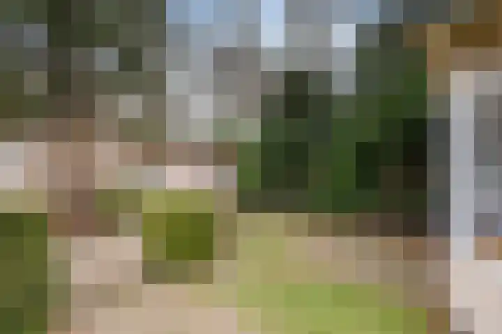 Zoomweg 7 B 008 Wageningen thumbnail 21