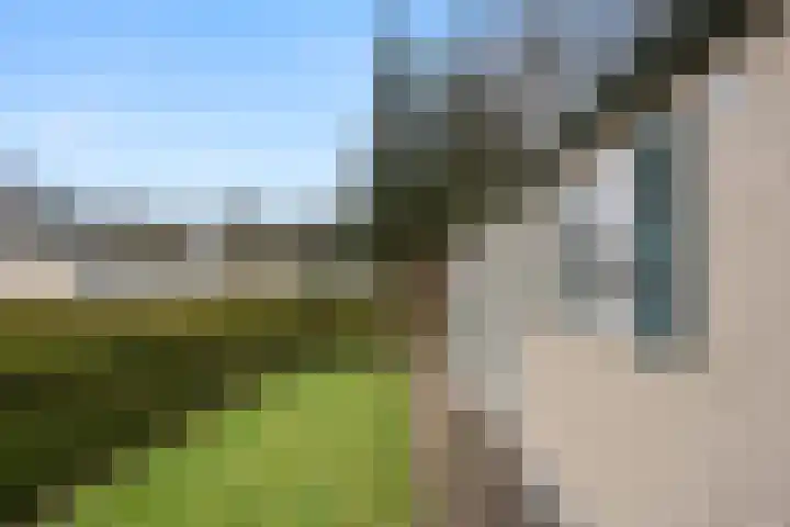 Zoomweg 7 B 008 Wageningen thumbnail 22
