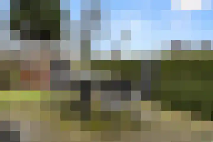Zoomweg 7 B 008 Wageningen thumbnail 23
