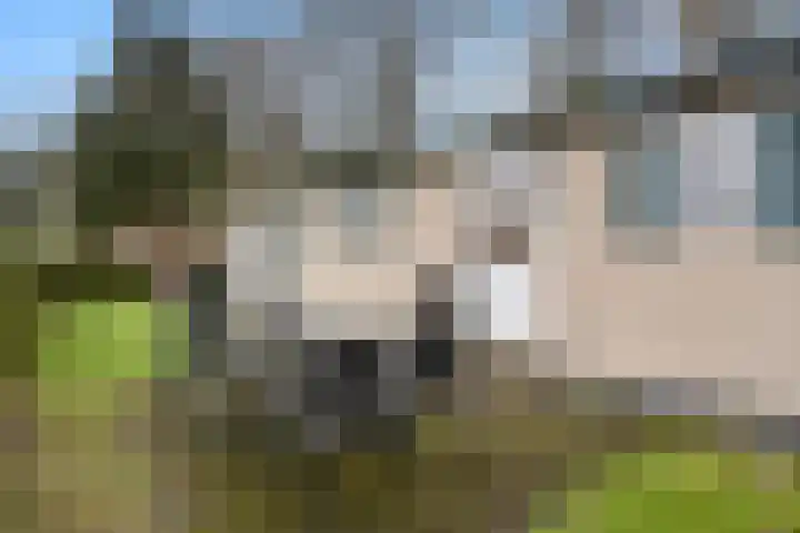 Zoomweg 7 B 008 Wageningen thumbnail 24