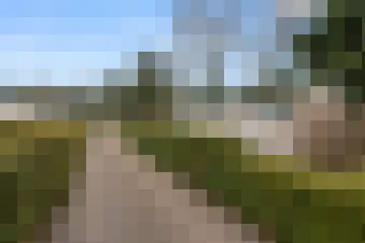 Zoomweg 7 B 008 Wageningen thumbnail 25