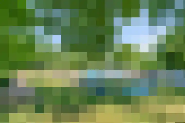 Zoomweg 7 B 008 Wageningen thumbnail 29