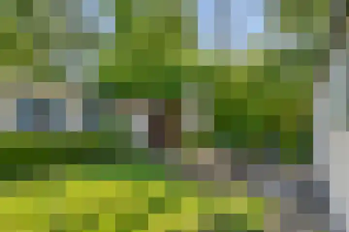Zoomweg 7 B 012 Wageningen thumbnail 16