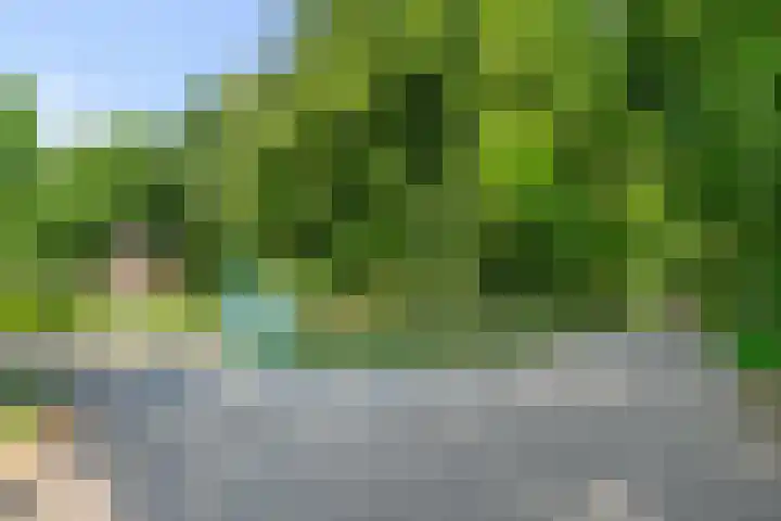 Zoomweg 7 B 012 Wageningen thumbnail 20