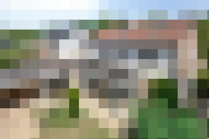 Zoomweg 8 's-Hertogenbosch thumbnail 4